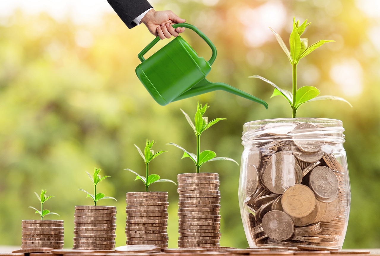 Investment Opportunities